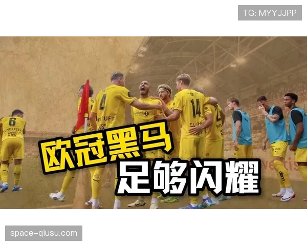 深度报道：赫罗纳的战术演进——从黑马到稳定欧冠区的秘诀